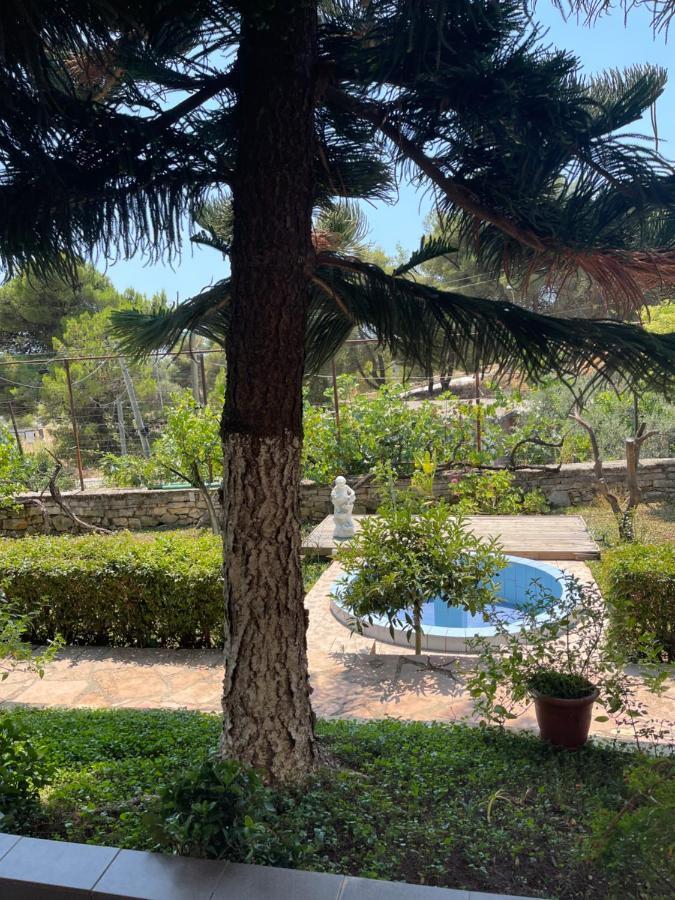 Elias Guest House ساراندا المظهر الخارجي الصورة